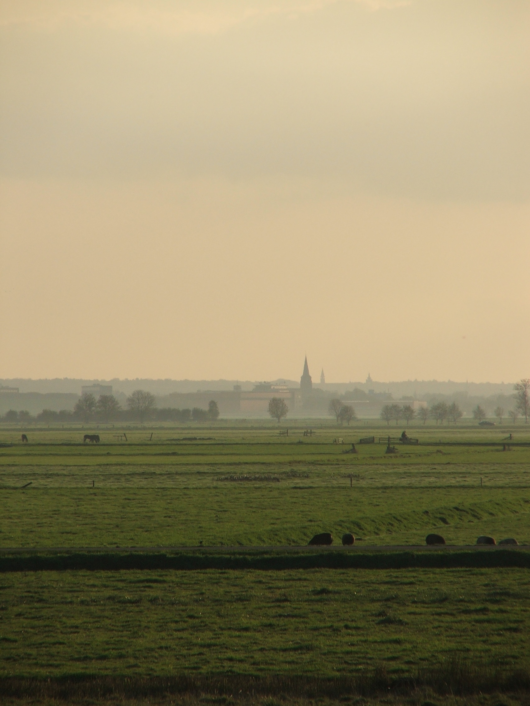 Arkemeense polder